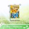 G128 - Hello Spring Butterflies and Flowers Garden Flag | 12x18 Inch | Printed 150D Polyester - Rustic Holiday Seasonal Outdoor Flag